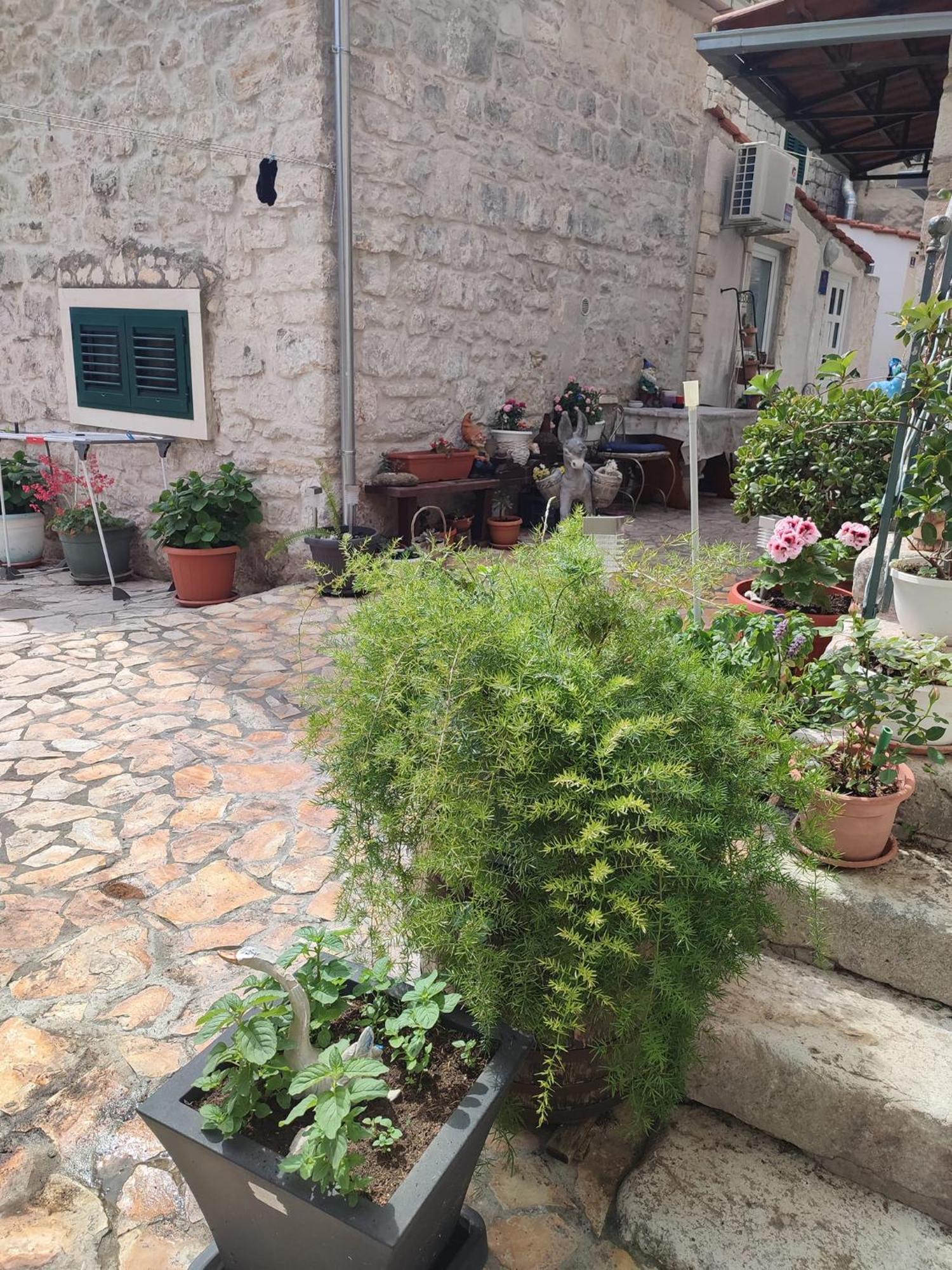Manono 2 Appartement *